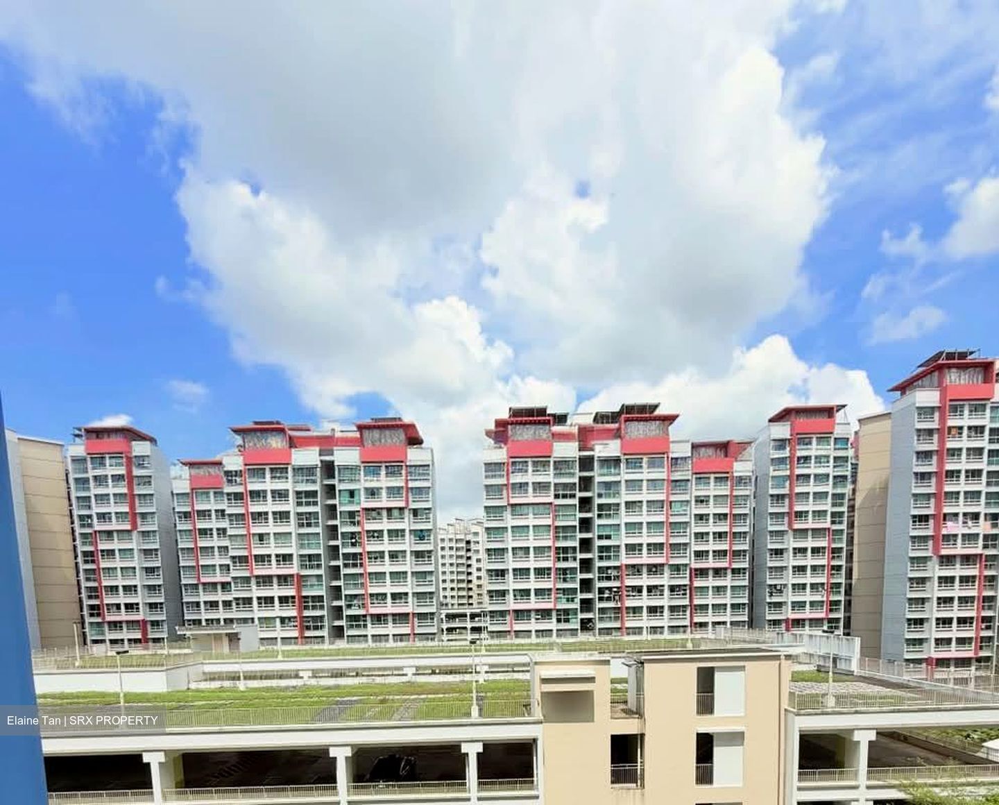 Blk 613B Damai Grove (Punggol), HDB 3 Rooms #574186761